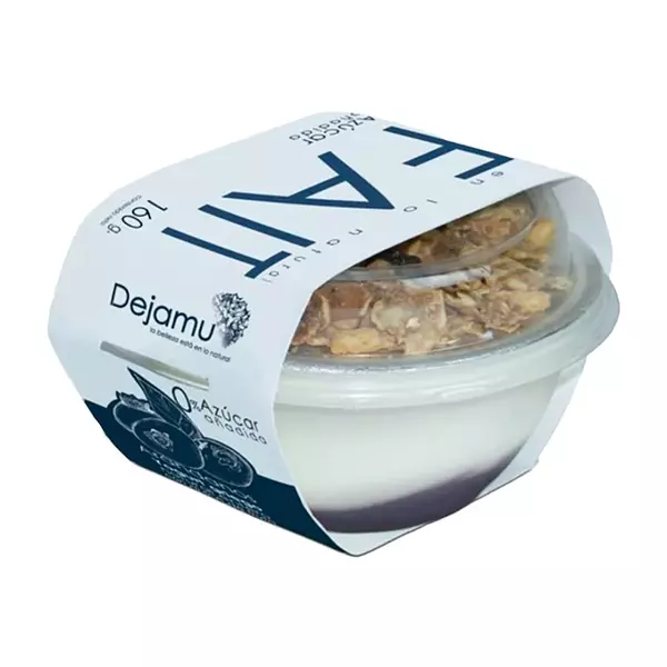 Yogurt Griego Parfait Arandanos S/D 160g