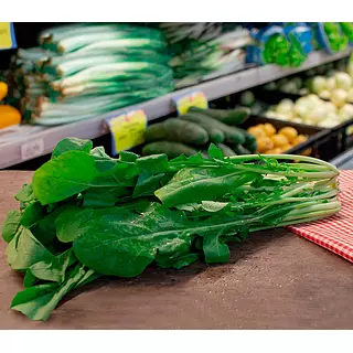 Hortifresco Lechuga 150g Rugula