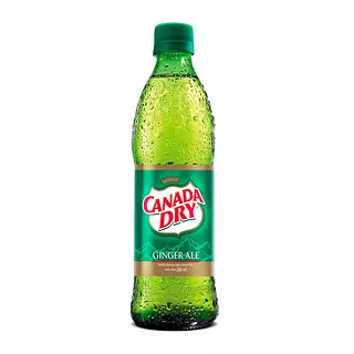Gaseosa Canada Dry Botella 300ml