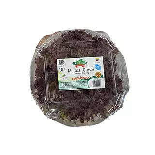 Lechuga Morada Crespa Organica Hortifresco 120g